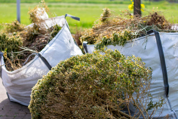 Best Yard Cleanup Services  in Woodworth, OH